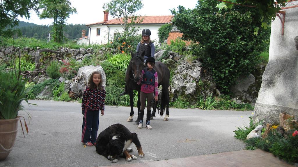 Tourist Farm Dujceva Domacija Villa Vremski Britof Exterior foto
